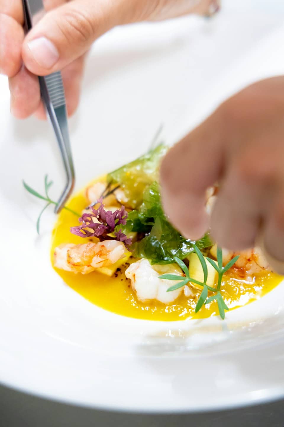 Uno chef guarnisce meticolosamente un piatto gourmet di gamberi con delle pinzette.